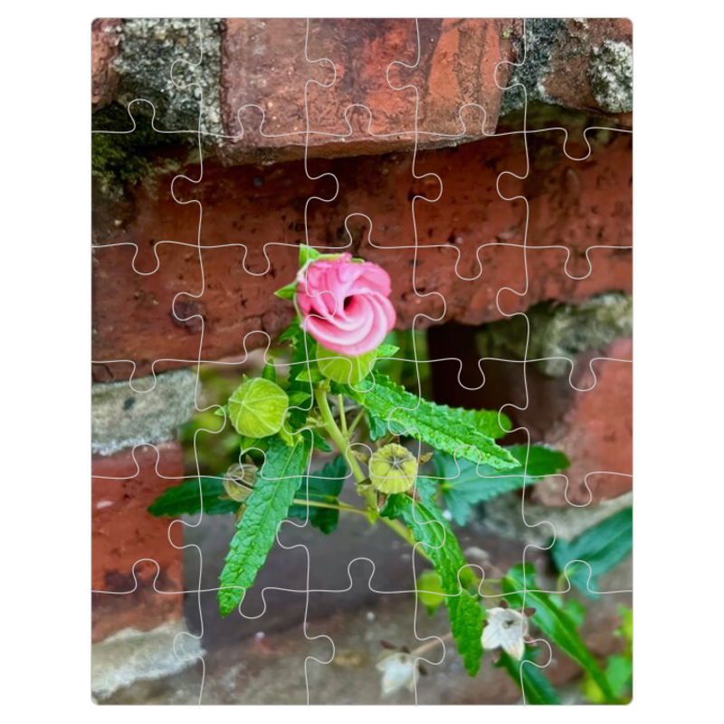 Delicate in Pink — 32-piece puzzle
