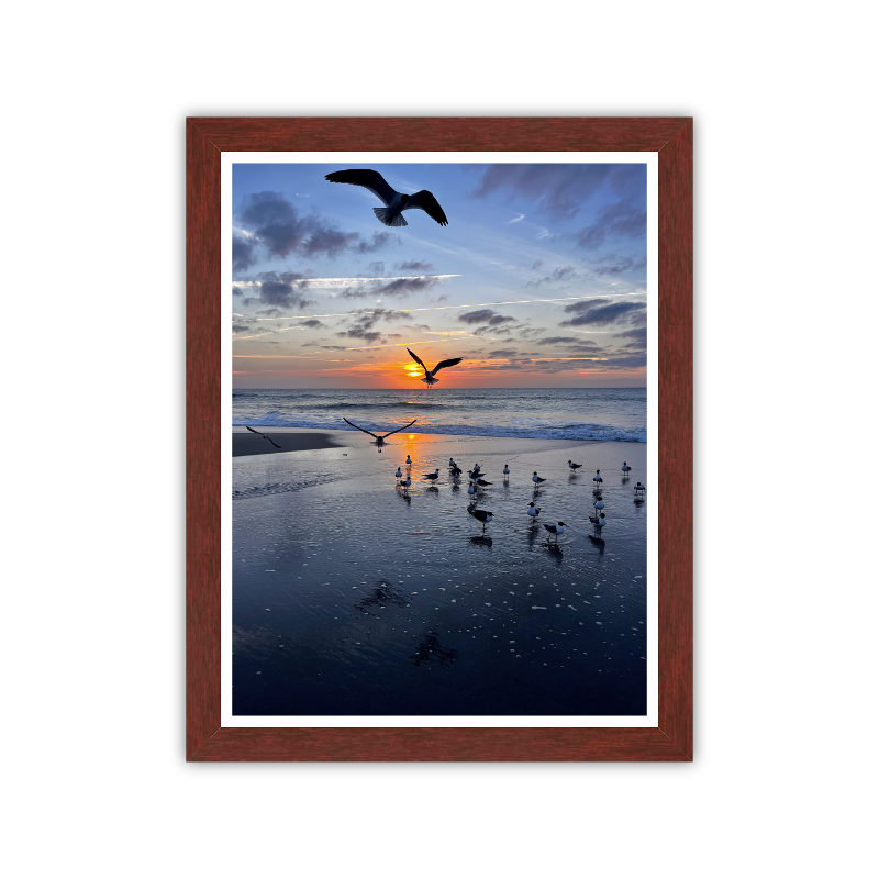 Gathering Time — Kure Beach, NC — Giclée Fine Art Print