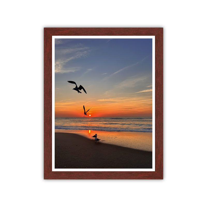 Gulls at First Light — Kure Beach, NC — Giclée Fine Art Print