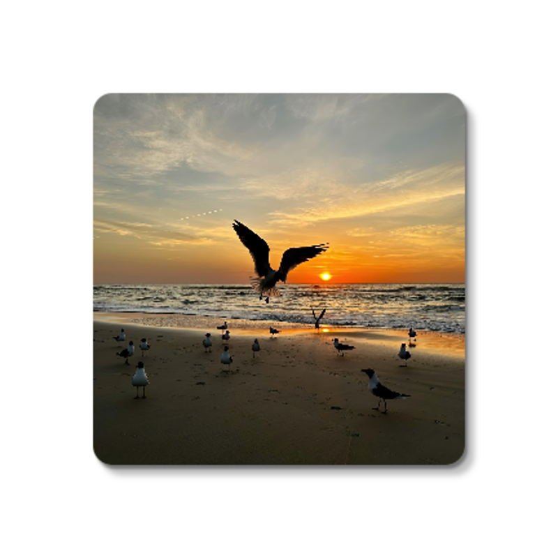 Touchdown coaster — Found at First Light