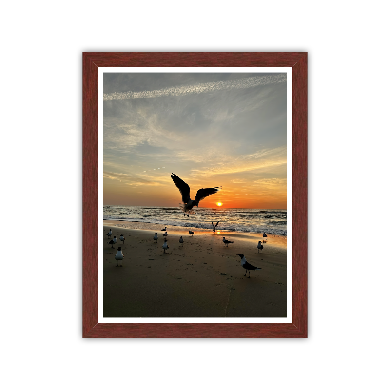 Touchdown — Kure Beach, NC — Giclée Fine Art Print